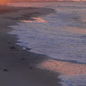 Meet your Posher, Cory